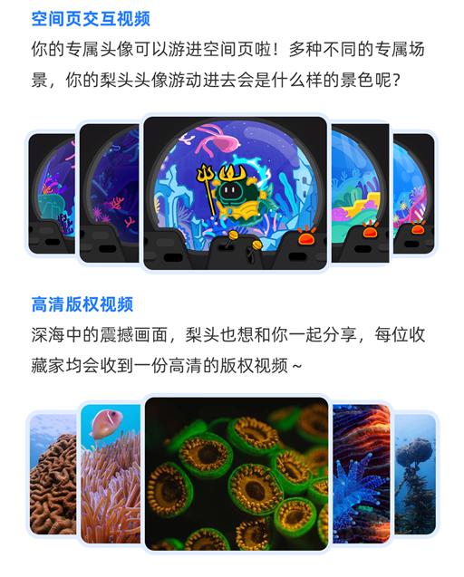 探索数字版权保护新模式,B站发布首个UP主定制数藏